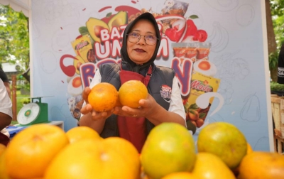 Usaha Klaster Jeruk Ini Makin Berkembang Berkat Pemberdayaan BRI