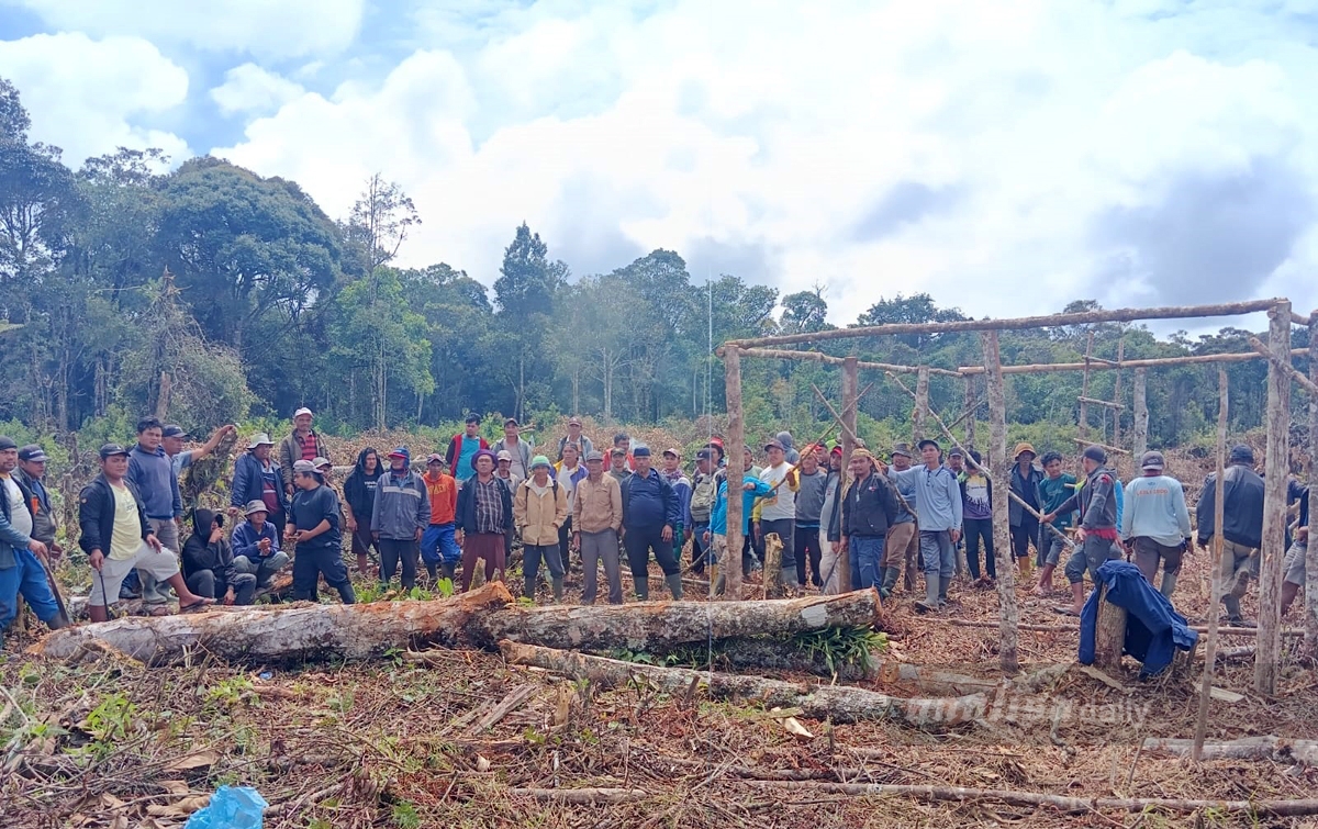 Camat Parbuluan Temukan Aktivitas Ilegal di Kawasan Hutan Lindung