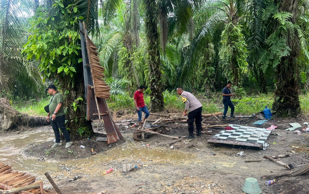 Diduga Sarang Narkoba, Areal Perkebunan Sawit di Padang Tualang Langkat Digerebek