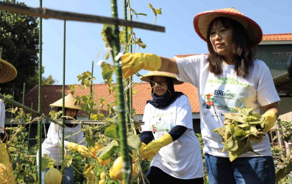 BRI Raih Penghargaan CSR Untuk Negeri dalam Ajang Merdeka Award 2024