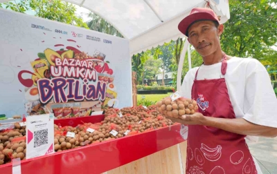 Pemberdayaan BRI Bikin Klaster Kelengkeng di Tuban Makin Bersinar