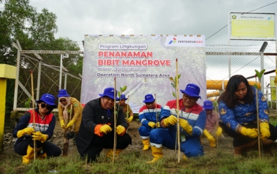 Tanam 1500 Mangrove, Langkah Konkret Pertamina Gas Lindungi Pesisir Belawan