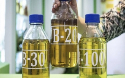 Airlangga: RI Siap Terapkan Biodiesel B40 pada 2025