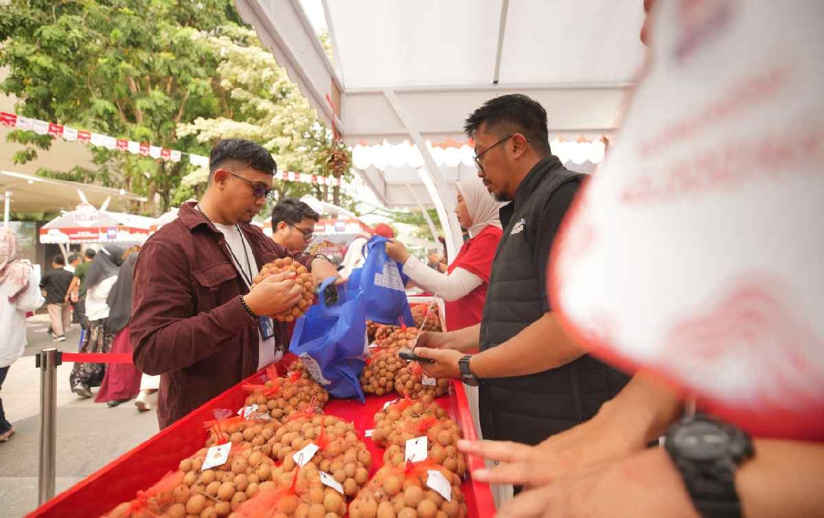 Melalui Pemberdayaan, BRI Angkat Potensi Klaster Buah Kelengkeng di Tuban