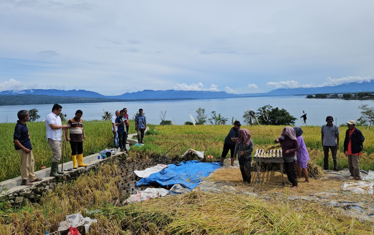 Petani di Balige Curhat Sama Bobby Nasution, Soal Pupuk Hingga Infrastruktur