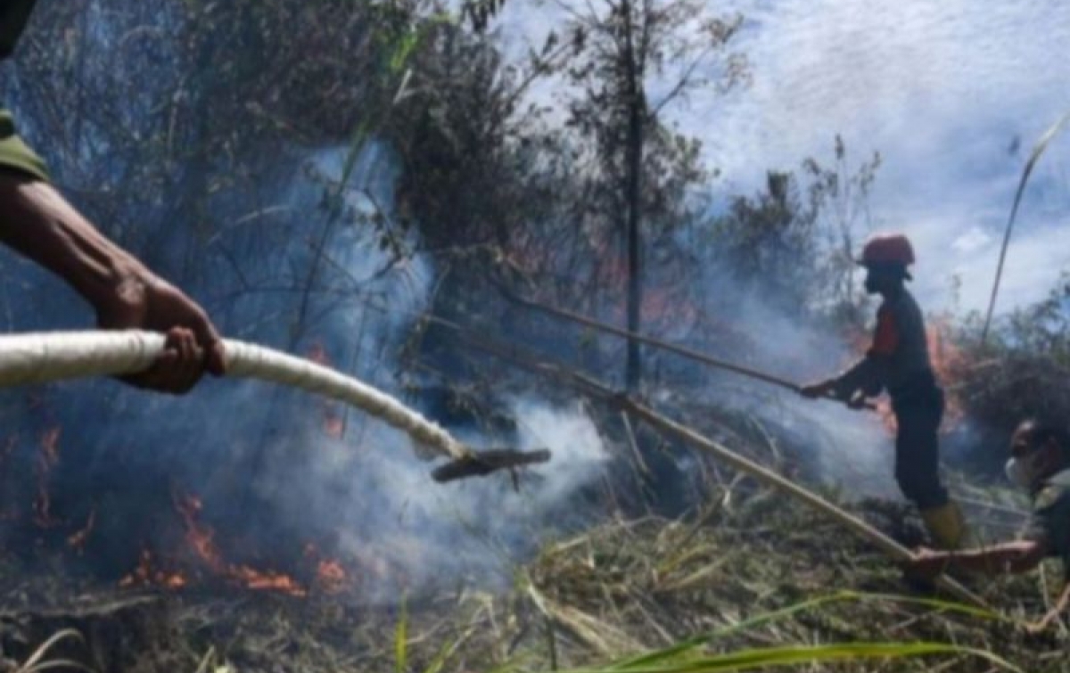 48 Titik Panas di Sumatera Utara Terpantau BMKG