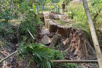 Irigasi Amblas, 150 Hektare Sawah Kekeringan di Simungun Dairi