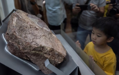 Hong Kong Pamerkan Fosil Dinosaurus Pertama, Temuan Bersejarah di Pulau Port