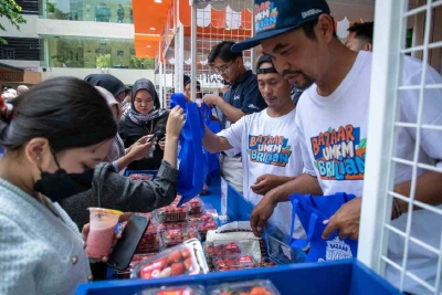 Mengecap Manisnya Bisnis Stroberi dengan Pemberdayaan BRI