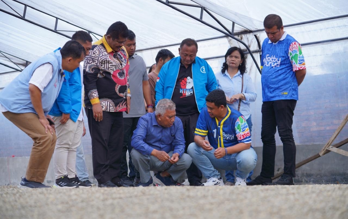 Bobby Nasution Bertemu Petani Kopi Lintong di Humbahas: Kami Yakin Pak Bobby Jadi Gubernur