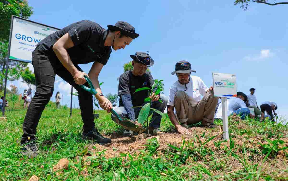 Pulihkan Hutan Bekas Tambang, Aksi Nyata Kelompok Tani Selamatkan Lingkungan Bersama BRI Menanam-Grow & Green