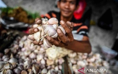 Harga Pangan: Bawang Putih Menjadi Rp40.810/Kg