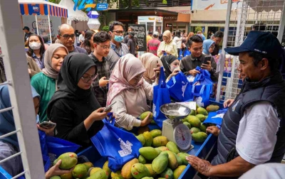 Diberdayakan BRI, Petani Mangga Bondowoso Mampu Perluas Lahan dan Tingkatkan Taraf Hidup