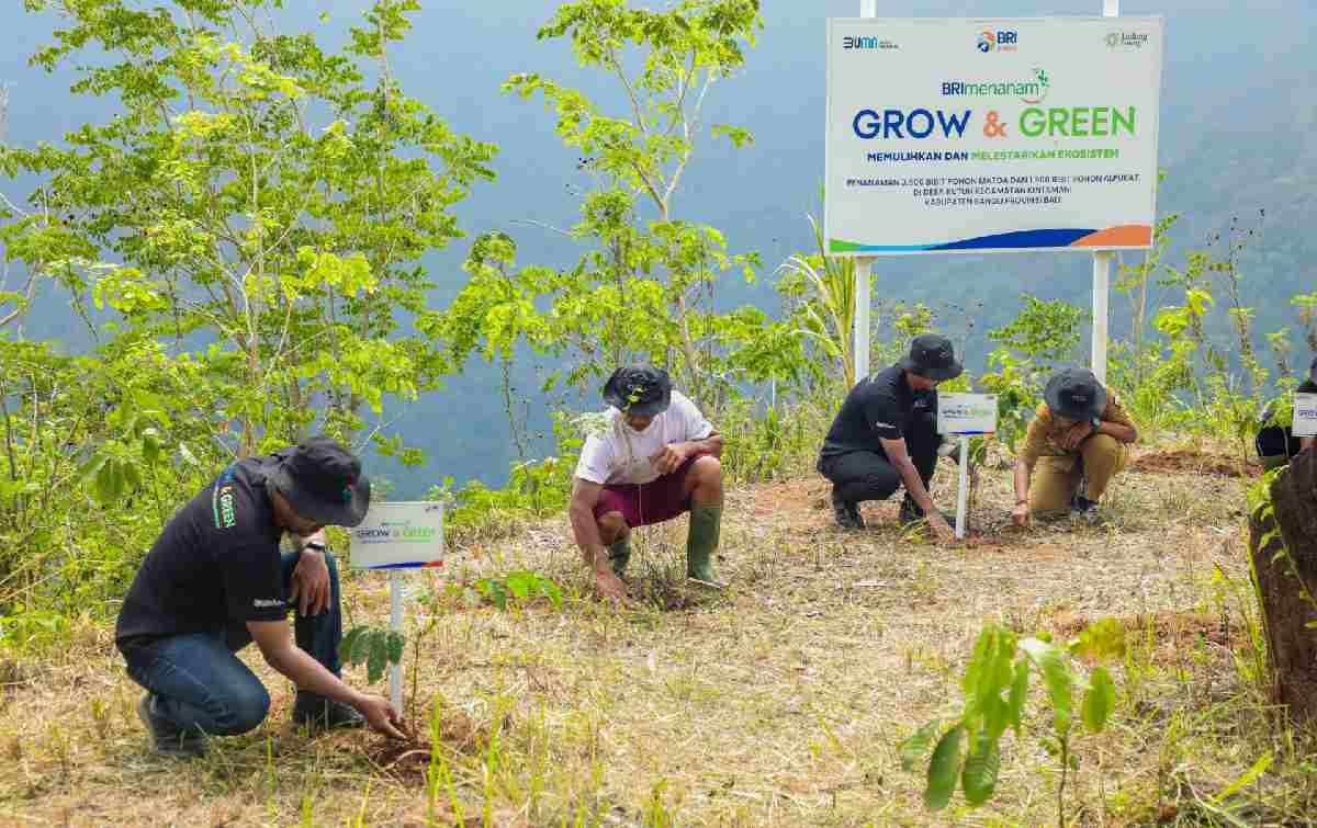 Peringati Hari Menanam Pohon, BRI Tanam 5.000 Bibit Pohon Produktif di Desa Kutuh Bali