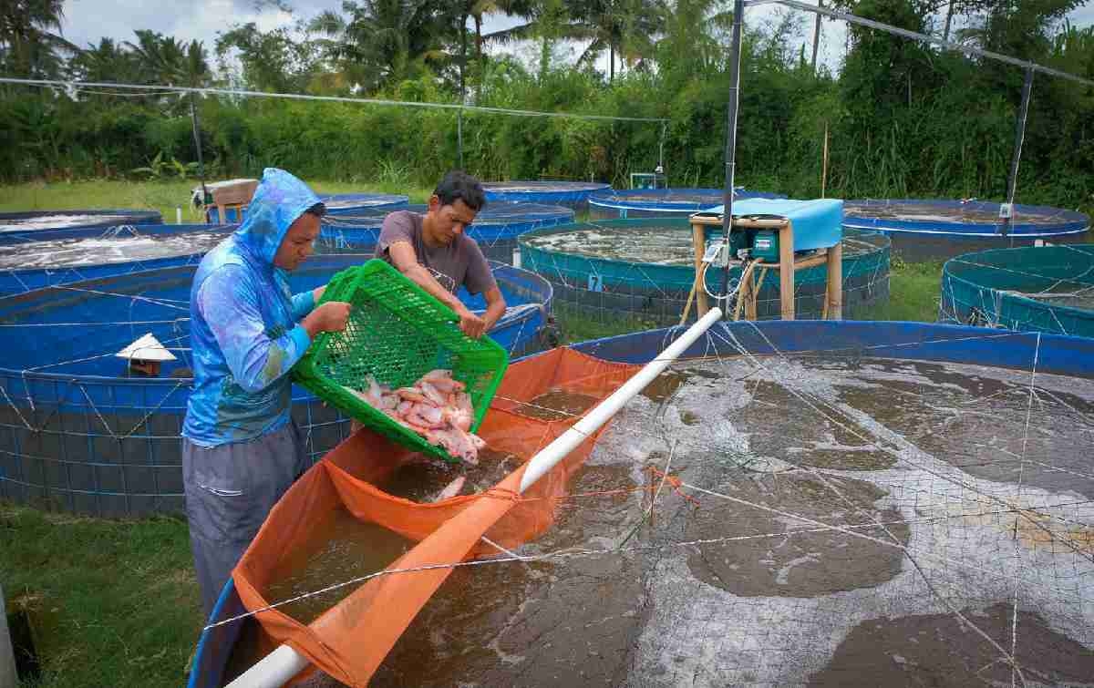 Lewat Pembiayaan dan Pemberdayaan, BRI Sukseskan Program Makan Bergizi Gratis