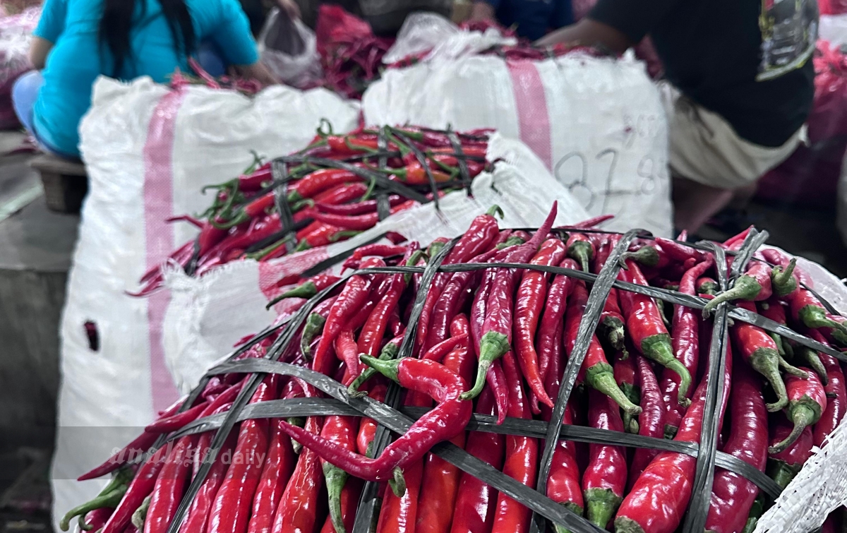 Petani Cabai Kediri Berharap Ada Penerbangan dari Bandara Dhoho ke Papua