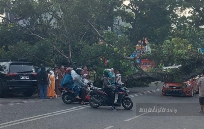 Pohon Tumbang Timpa Sejumlah Mobil di Jalan Abdullah Lubis Medan