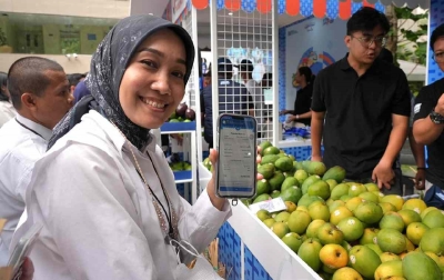 Kelompok Petani Jeruk di Curup Bengkulu Jangkau Pasar Lebih Luas Berkat Pemberdayaan BRI