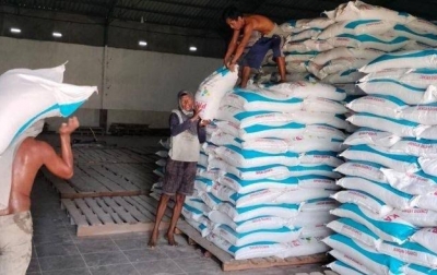 Jelang 2025, Stok Pupuk di Sumut Dipastikan Tersedia Sesuai Ketentuan