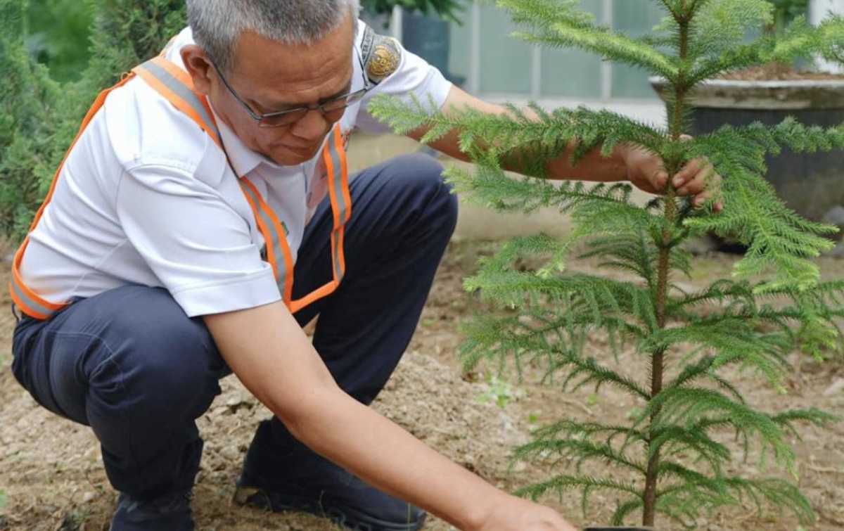 Gerakan Satu Juta Pohon, Langkah Menuju Lingkungan Lebih Hijau dan Berkelanjutan