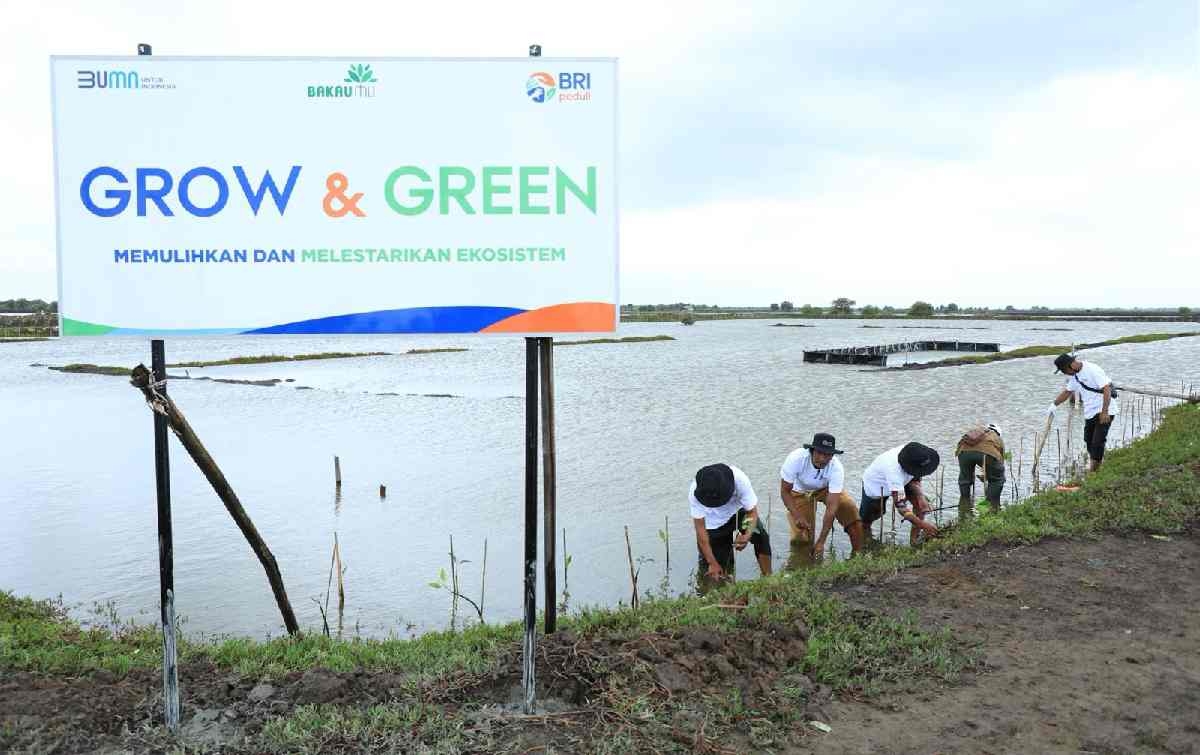 BRI Menanam - Grow & Green, Upaya Nyata BRI Bantu Pulihkan Ekosistem Lingkungan dan Dorong Pemberdayaan Ekonomi Masyarakat