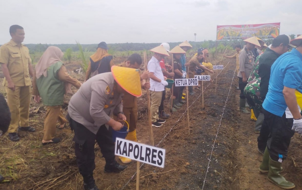 Dukung Ketahanan Pangan, Kapolres Palas Lakukan Penanaman Jagung Serentak