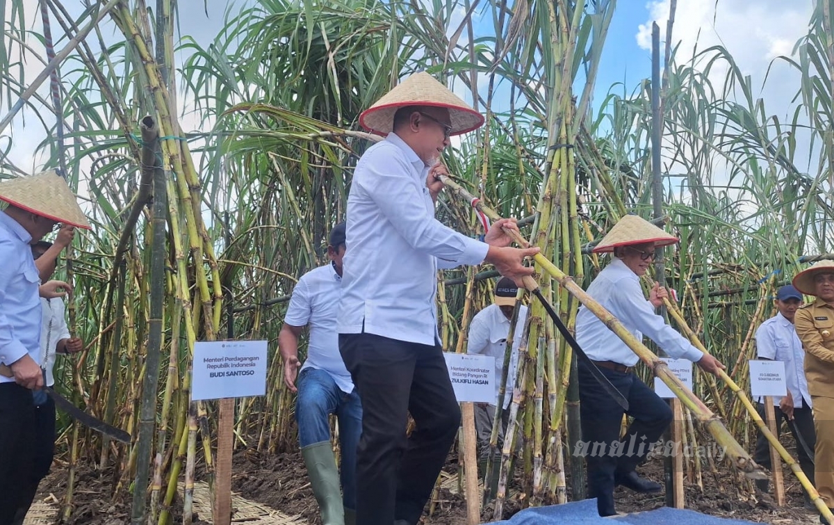 Zulkifli Hasan Dorong Peningkatan Produksi Gula di Sumut