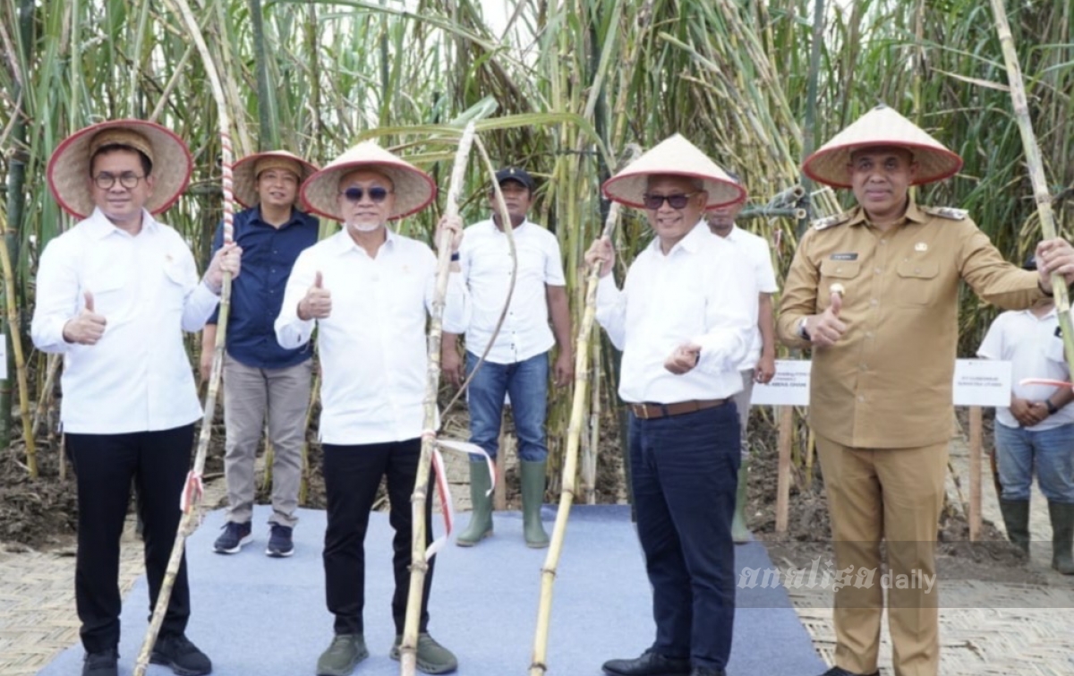 Percepat Swasembada Gula, Menko Pangan dan Mendag Tinjau Panen Tebu di Langkat