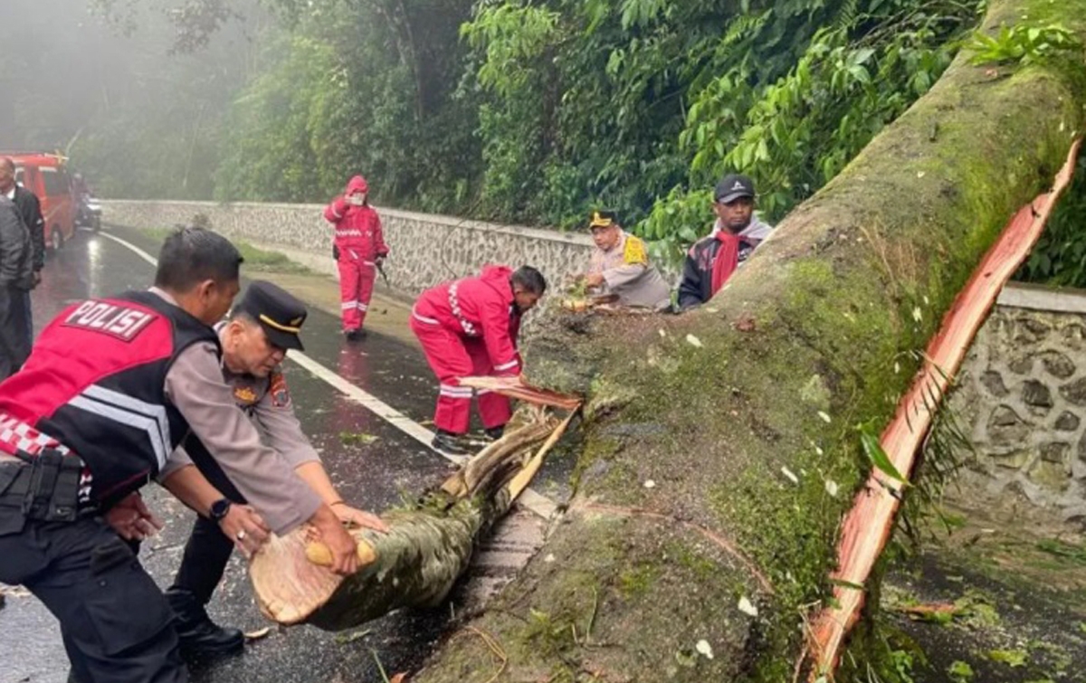 Waspadai Hujan Disertai Angin Kencang di Sumatera Utara