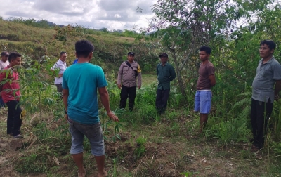 Jejak Mirip Kaki Harimau Ditemukan di Ladang Warga di Dairi