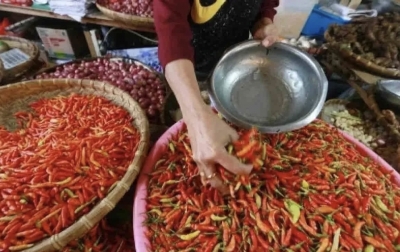 Ibu Rumah Tangga di Sumut Menjerit Harga Cabai Terbang Tinggi, Berikut Pemicunya