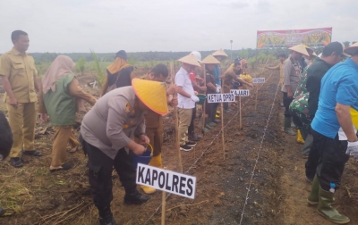 Dukung Ketahanan Pangan, Kapolres Palas Lakukan Penanaman Jagung Serentak