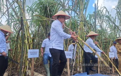 Zulkifli Hasan Dorong Peningkatan Produksi Gula di Sumut