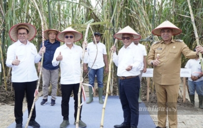 Percepat Swasembada Gula, Menko Pangan dan Mendag Tinjau Panen Tebu di Langkat