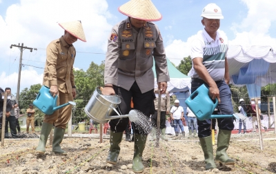 Tanam Jagung Serentak, Komitmen Bersama Dukung Program Pemerintah Jamin Ketersediaan Pangan