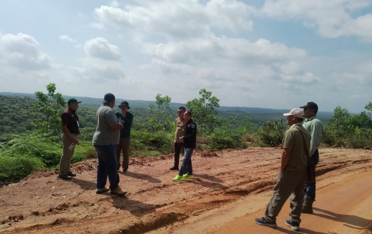 Perusahaan Perkebunan di Palas yang Berada dalam Kawasan Hutan Harus Ditindak