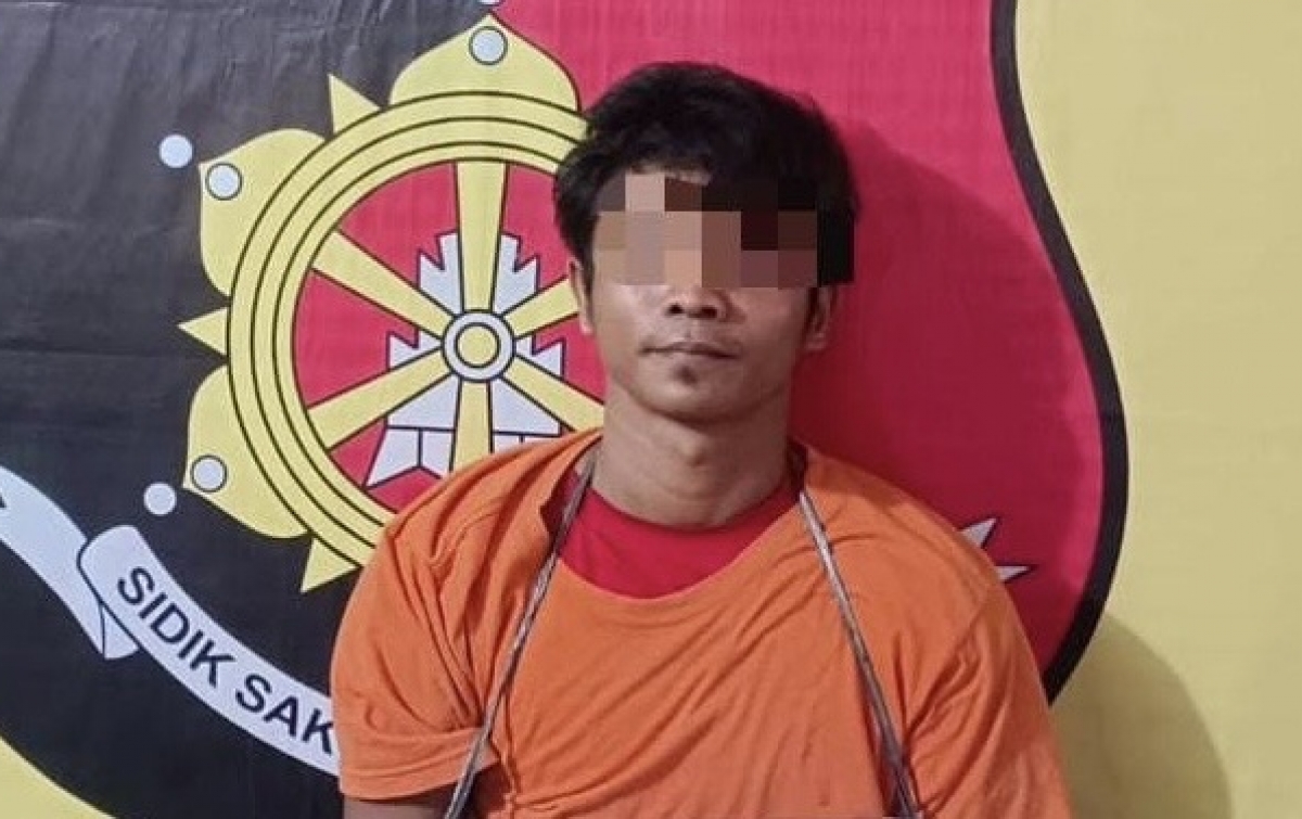 Curi Laptop Tetangga, Warga Panai Tengah Diringkus Polisi