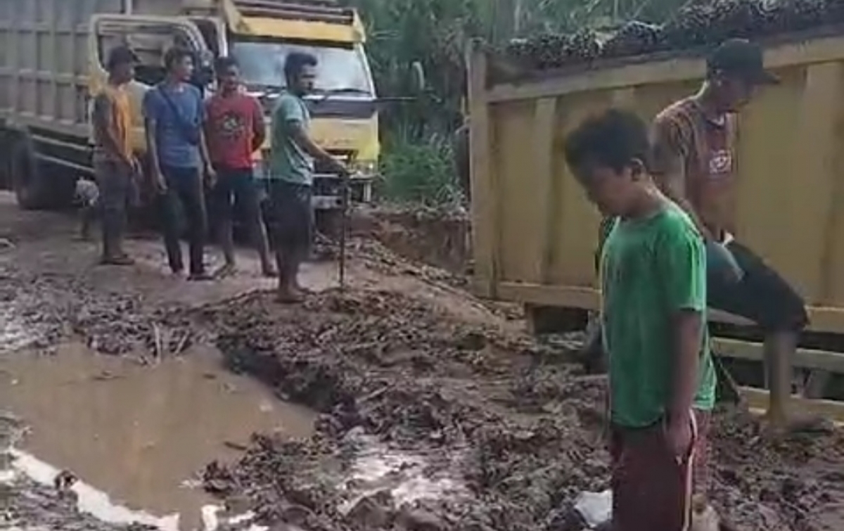 Jalan Desa Sei Jawi-Jawi Rusak Parah, Warga Minta Perhatian Presiden Prabowo