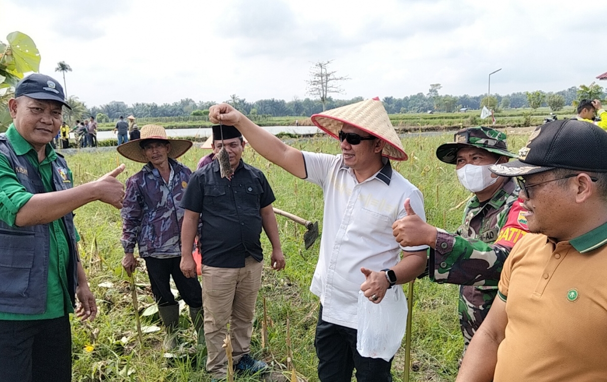 Desa Pematang Gajing Buruh Hama Tikus untuk Dukung Ketahanan Pangan