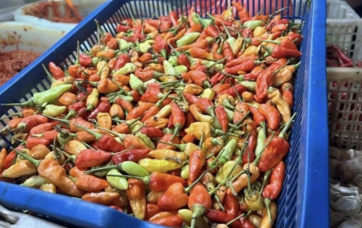 Harga Pangan Kamis 27 Februari 2025: Cabai Rawit Rp85.150/Kg, Bawang Merah Rp34.050/Kg