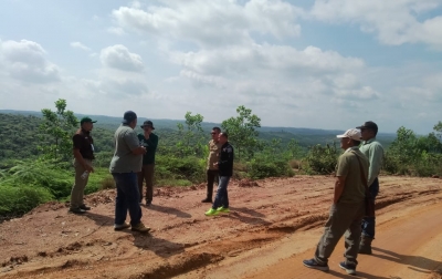 Perusahaan Perkebunan di Palas yang Berada dalam Kawasan Hutan Harus Ditindak