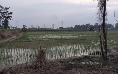 Diduga Mafia Tanah Garap Lahan yang Sudah Dikuasai Masyarakat