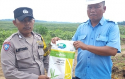 Dukung Ketahanan Pangan, Polres Labuhanbatu Tinjau Progres Penanaman Jagung di Labura