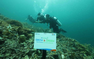 BRI Menanam - Grow & Green Bangun Kesadaran Jaga Kelestarian Ekosistem Laut dan Tingkatkan Pendapatan Nelayan