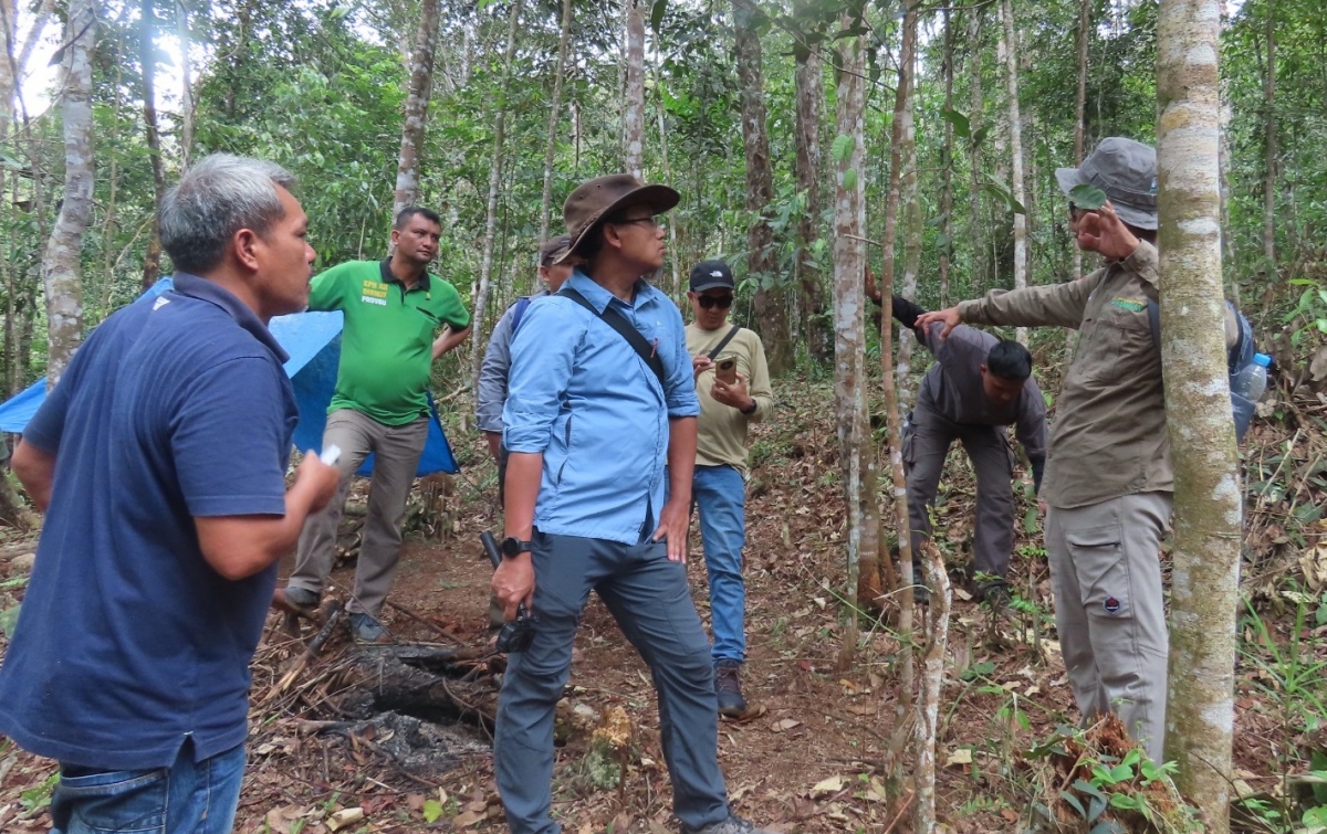 Menilik Kearifan Lokal Pengelolaan Hutan Kemenyan dalam Upaya Penurunan Emisi Gas Rumah Kaca