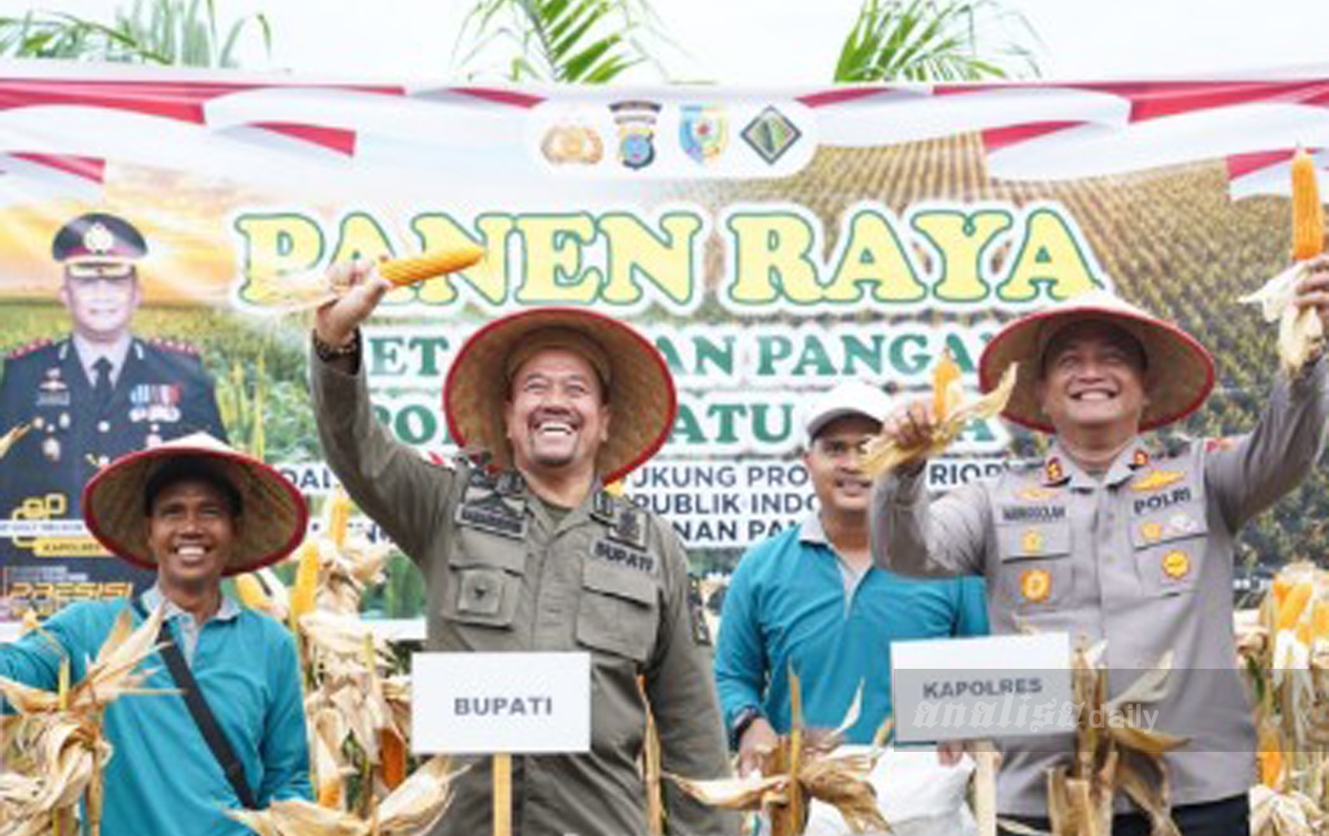 Dukung Program Ketahanan Pangan, Bupati Batubara Panen Raya Jagung
