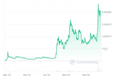 Meledak 10x atau Gagal Total, Prediksi Harga PEPE 2025