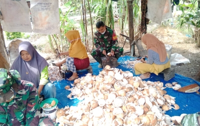 Satgas TMMD ke-124 Sambangi Pekerja Kelapa Kopra 