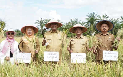 Varietas Inpari 33 Strategis Dukung Ketahanan Pangan