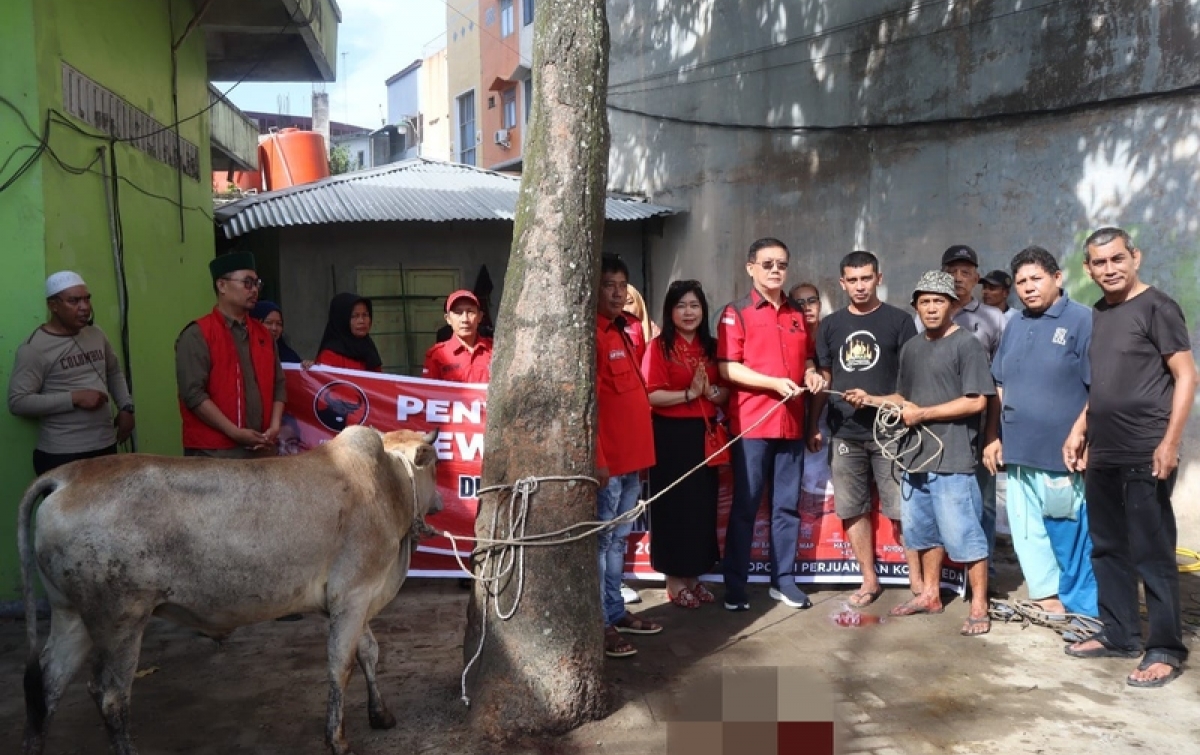 DPC PDI Perjuangan Medan Sembelih Hewan Kurban di Empat Lokasi